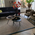 Sisal vloerkleed 200x250cm