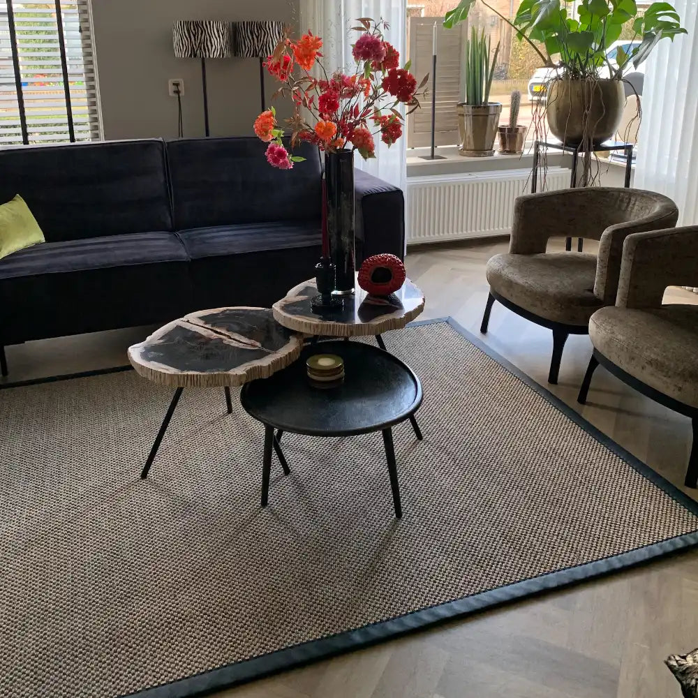 Sisal vloerkleed 200x250cm