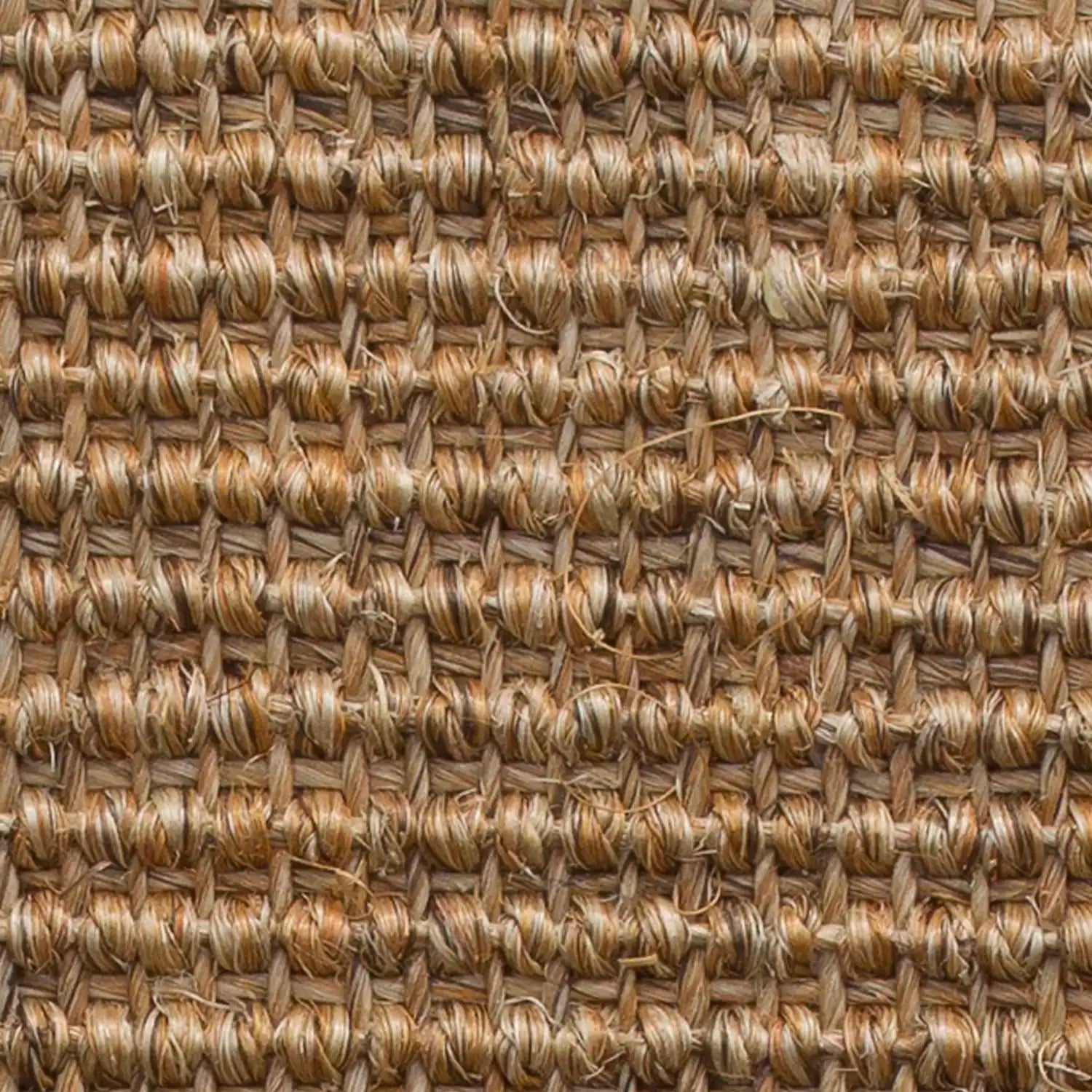 sisal traploper isis