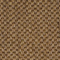 sisal loper dragon grass